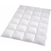 TRAUMSCHLAF Daunendecke Himalaya warm, Füllung: 100% Daunen 200x200 cm
