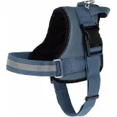 Kerbl Maestro 2.0 Gurtzeug Grün,Blau 25 mm x 64-90 cm Grün,Blau 25 mm x 64-90 cm