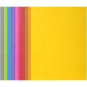 Exacompta Sammelmappen - Aktendeckel