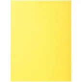 Exacompta Sammelmappen - Aktendeckel