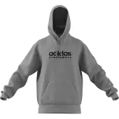 Adidas Kapuzenpullover Molton All Szn Graphic