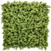 Hjh LIVING Leafluxe 3