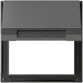 Gira 065467 - AC - Anthrazit - Typ F - 1 Stück(e)