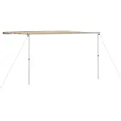 vidaXL Wohnwagen-Markise 4x3x2,15 m Beige