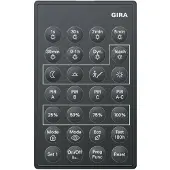 Gira IR-Fernbedienung 238200 PIR 1