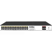 Ernitec 36-Port Gigabit Managed Layer