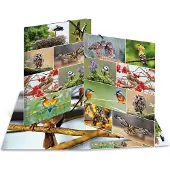 Herma Sammelmappe A3 Motiv