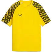 Puma teamLIGA26 Jersey Jr faster yellow-black-black (07) 164