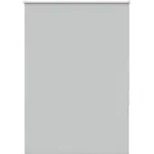 vidaXL Verdunkelungsrollo Hellgrau 100x150cm Stoffbreite 95,7 cm