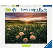 Ravensburger Pusteblumen im Sonnenuntergang 12000592