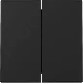 Gira 3295005, Schwarz, , Matte, Aufspannplatte