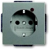 Busch-Jaeger 2310EUGL/VA-803-11