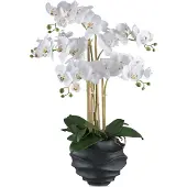 Gasper Phalaenopsis Orchidee 70 cm in Weiß - Pflegeleichte Kunstpflanze im schwarzen Topf