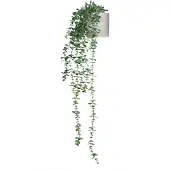 Hjh OFFICE Eucalyptus Climb