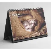 Famanu Tischkalender 2026-2027 Ferretjes - Mondriaan Design