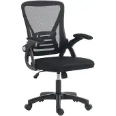 HOMCOM Netz-Bürostuhl mit klappbaren Armlehnen & Lendenstütze, Schwarz