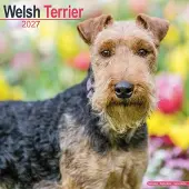 Avonside Publishing Ltd. Welsh Terrier Kalender 2027