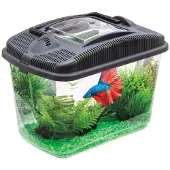 Aquael 114563 Betta Kit, schwarz, 790 g