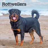 BrownTrout Rottweiler Kalender 2027