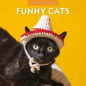 Red Robin Lustige Katzen Kalender 2027