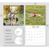 Red Robin Whippet Kalender 2027