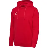 Hummel Kapuzenpullover Go 2.0