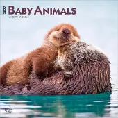 BrownTrout Babytieren Kalender 2027