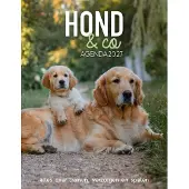 Edicola Hund & Co Agenda 2027