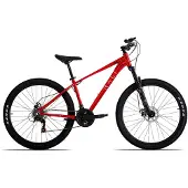 RALI A1 29´´ Ty300 Mountainbike