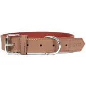 Gloria Oasis Hundehalsband