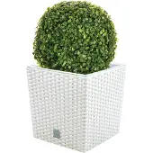 Wellhome Prosperplast Rato 32l S Set Blumentopf 2 Einheiten