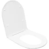 SAT Ergo Softclose WC-Sitz Duroplast weiß SATPSWCP