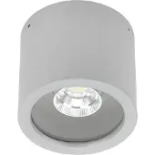 Albert 692319 Deckenaufbaustrahler Typ Nr. 2319 - Farbe: Silber, mit 1 x LED 8 W, 800 lm, 3000 K