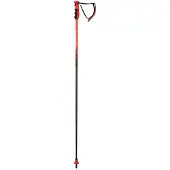 Rossignol Hero Carbon Aramidic Lining Stöcke