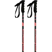 Elan Speedrod W Stöcke