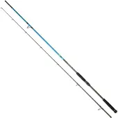 Daiwa Spitfire Seabass Spinnrute