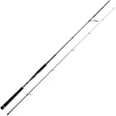 Cinnetic Crafty Translight Sea Bass Mh Game Spinnrute