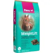 Pavo Weight Lift 20 kg