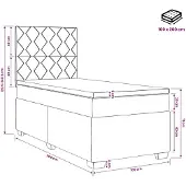 vidaXL Boxspringbett mit Matratze Schwarz 100 x 200 cm Samt