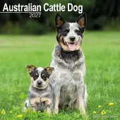 Avonside Publishing Ltd. Australian Cattle Dog Kalender 2027