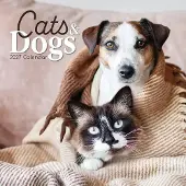 The Gifted Stationery Katzen- & Hunde-Kalender 2027