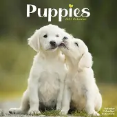 Avonside Publishing Ltd. Welpenkalender 2027