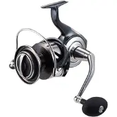 Daiwa Rolle 26 CERTATE SW 10000-H