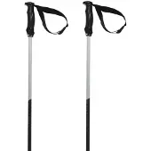 Völkl Phantastick Iii Stöcke