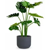Fleur Ami Kunstpflanze mit Topf Monstera mit Topf Solco 90 cm Anthrazit