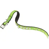 Ferplast Dual 15 Mm 35 Cm Hundehalsband