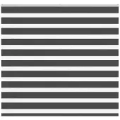 vidaXL Doppelrollo Schwarz 165x100 cm Stoffbreite 160,9 cm Polyester