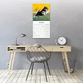 Avonside Publishing Ltd. Zwergschnauzer Kalender 2027