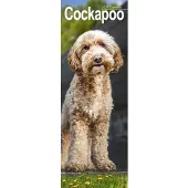 Avonside Publishing Ltd. Cockapoo Kalender 2027 Slimline