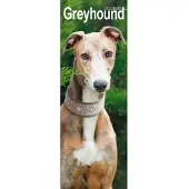 Avonside Publishing Ltd. Greyhound-Kalender 2027 (schlankes Format)